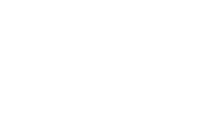 Bose Logo-bronet