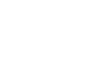 Ergotron 300x200